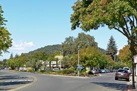 Personal Injury Attorneys - Yountville